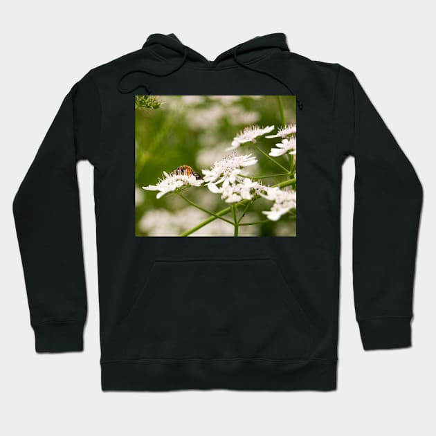 fli pollen Hoodie by pcfyi